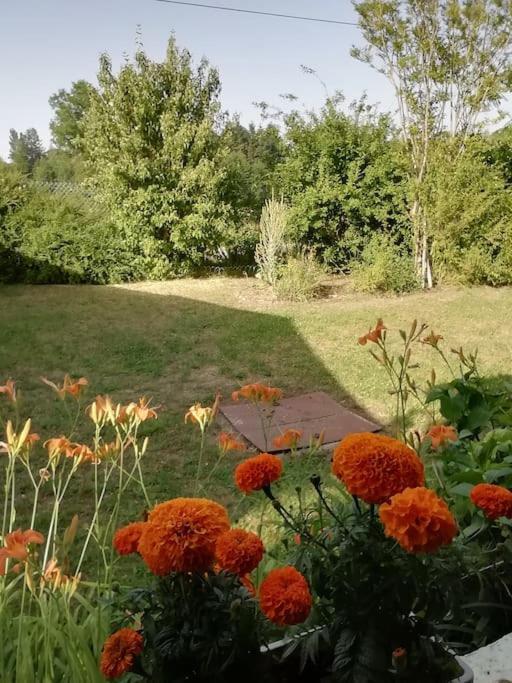 Maison De Village En Bord De Riviere Narcy Екстер'єр фото