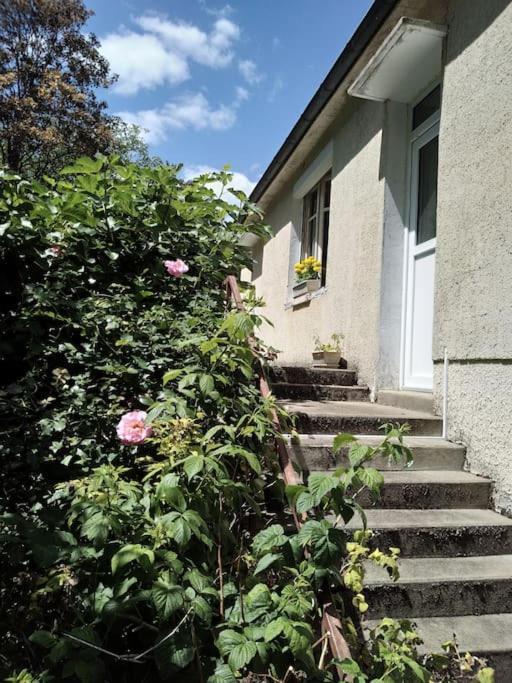 Maison De Village En Bord De Riviere Narcy Екстер'єр фото