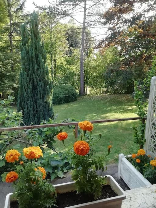 Maison De Village En Bord De Riviere Narcy Екстер'єр фото